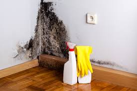  Sayreville, NJ Mold Remediation Pros